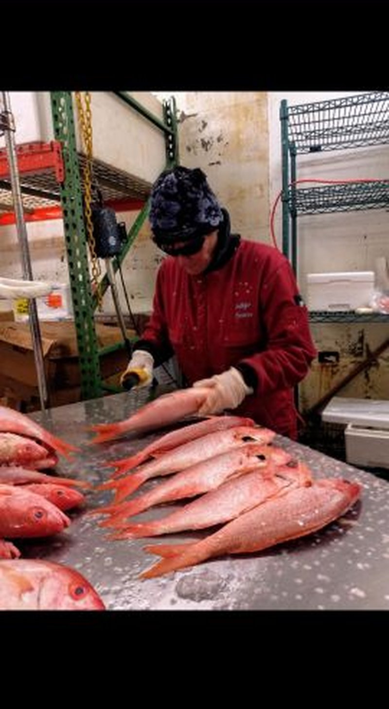 Processing fresh red snapper